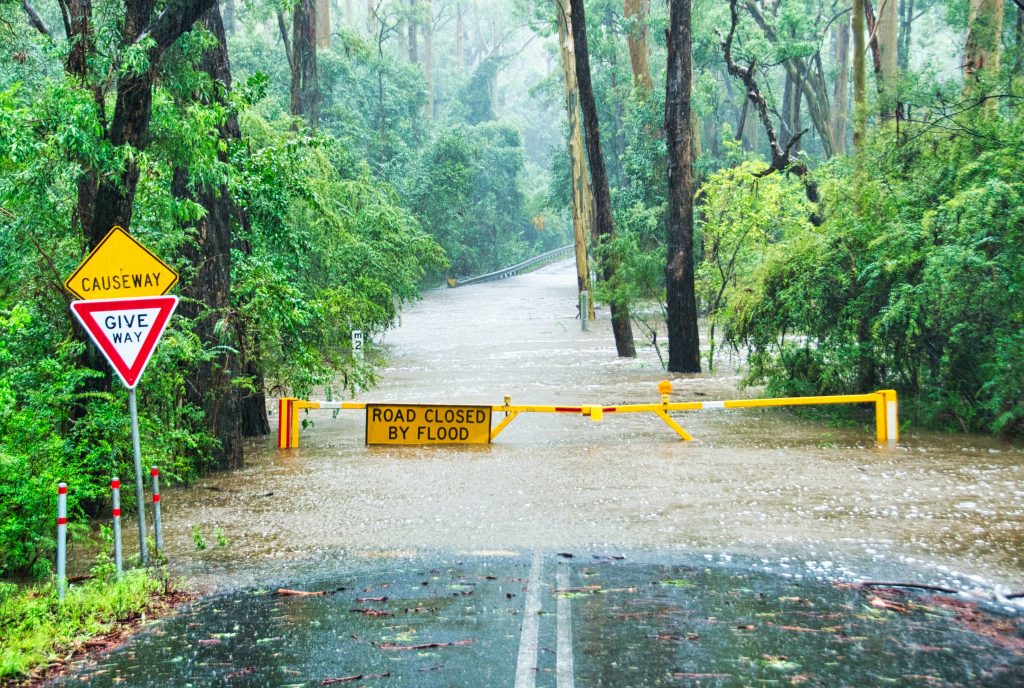 Citizens Florida Flood Insurance