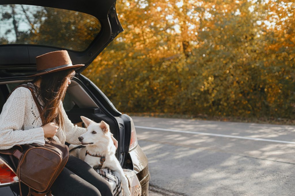 Dog and owner in back of car